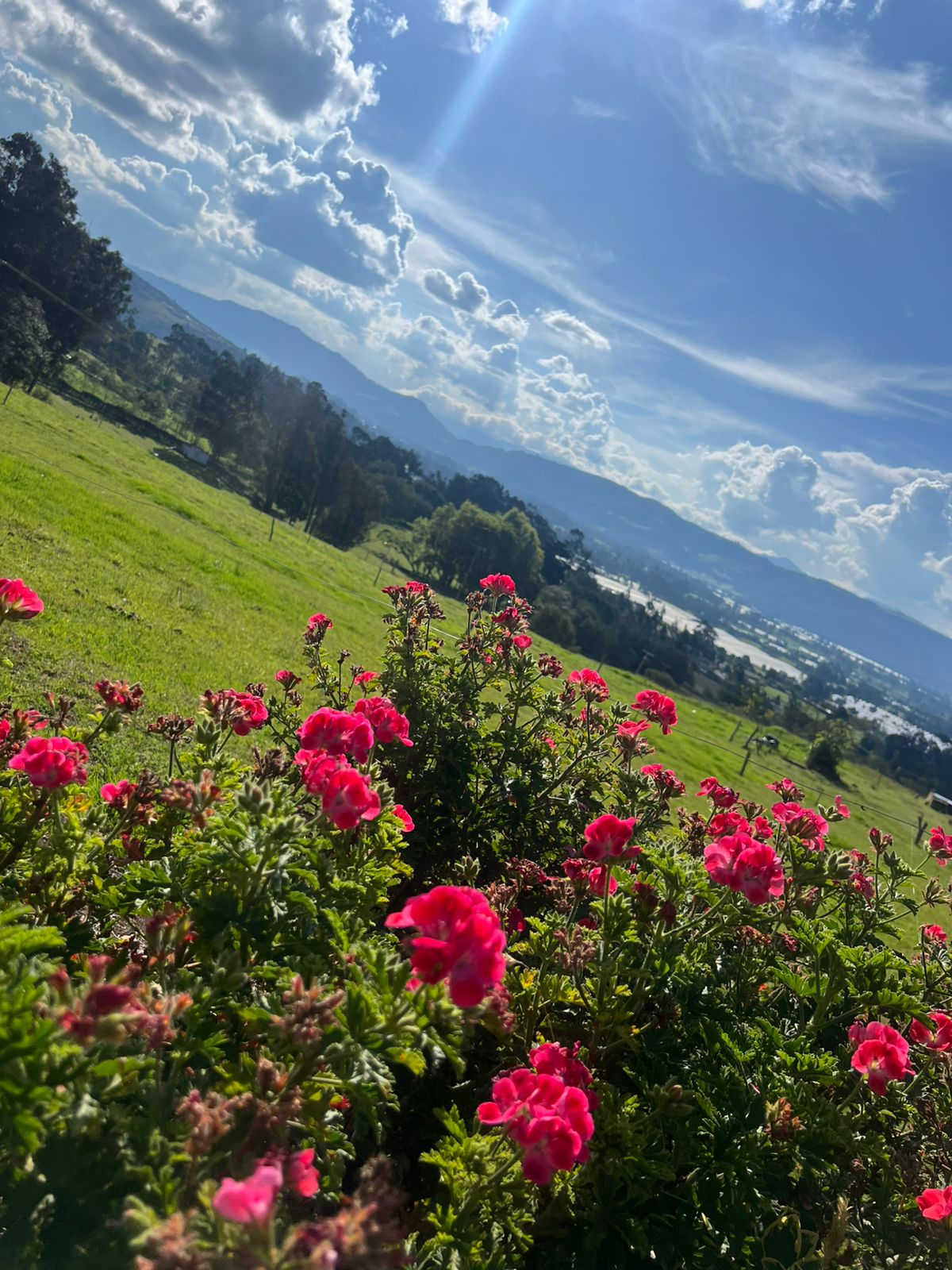 zona verde